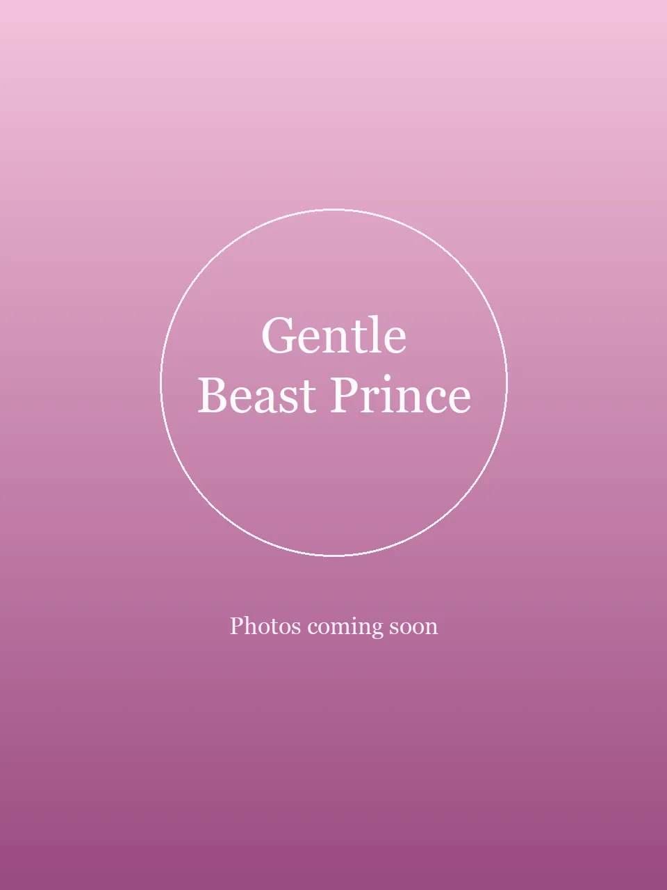 Gentle Beast Prince party character in San Diego