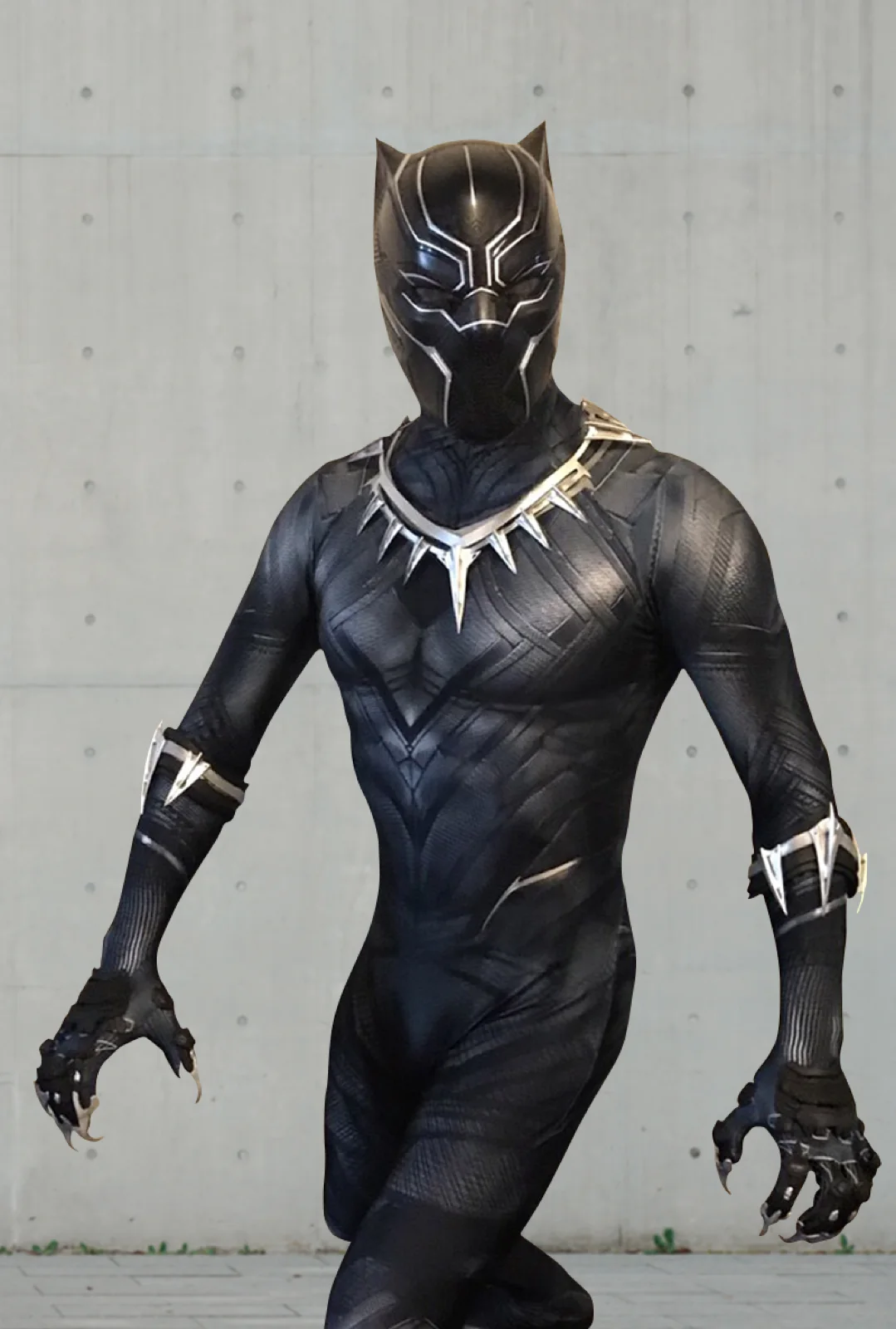 Panther Hero party character in San Diego