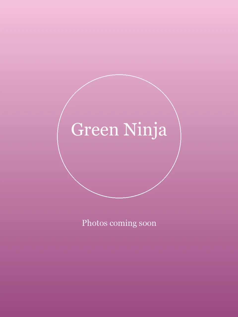 Green Ninja party character in San Diego