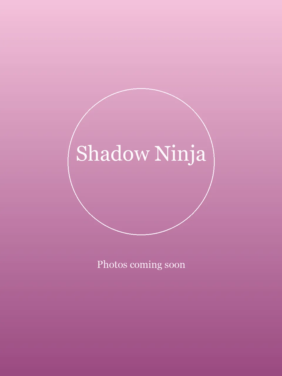 Shadow Ninja party character in San Diego