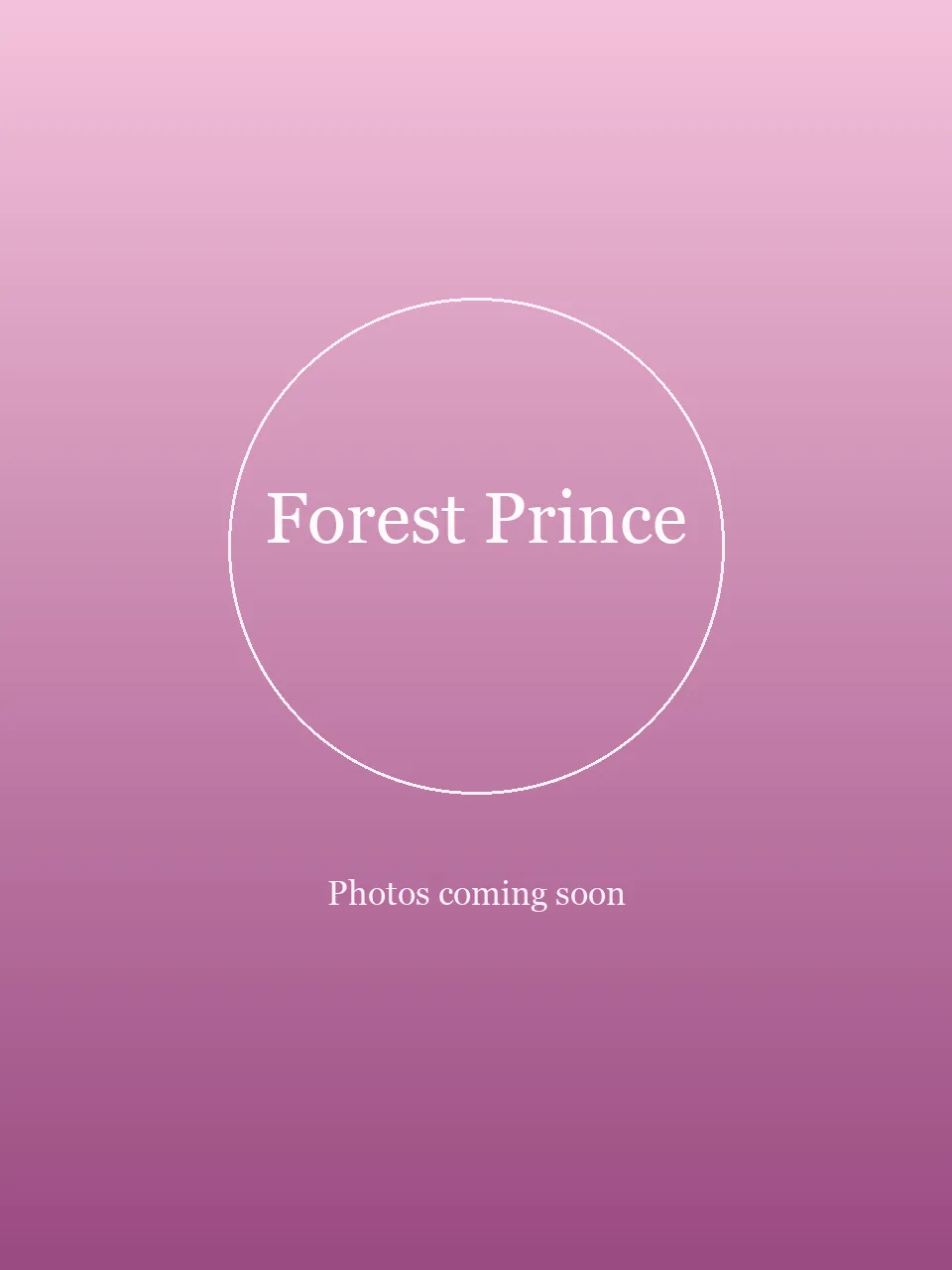 Forest Prince party character in San Diego